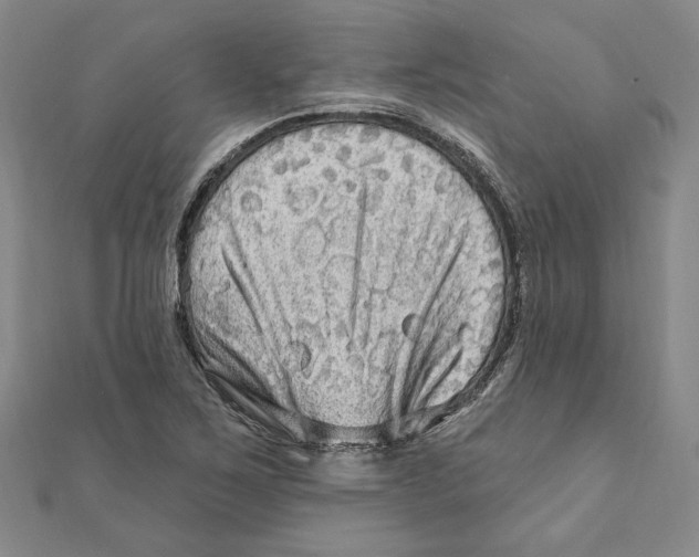 X0000111671267200908141421