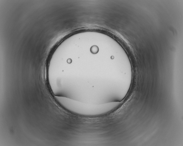 X0000111671269200908141421