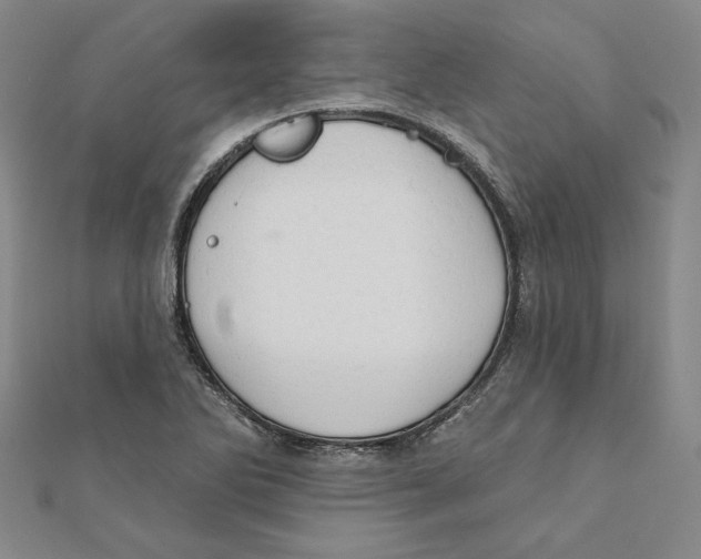 X0000111671270200908141421