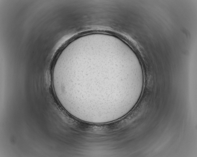 X0000111671271200908141421