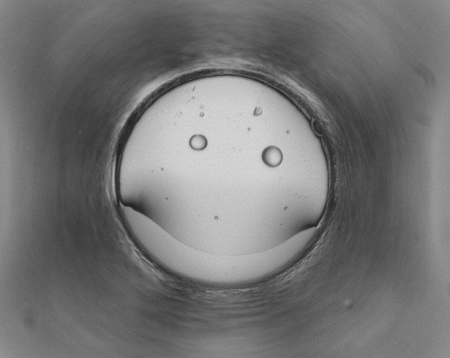 X0000111671272200908141421