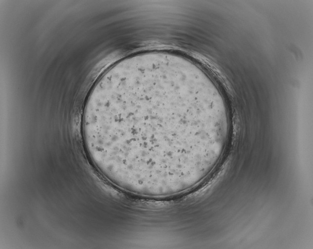 X0000111671273200908141421