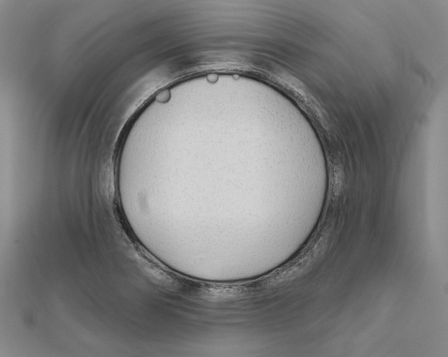 X0000111671274200908141421