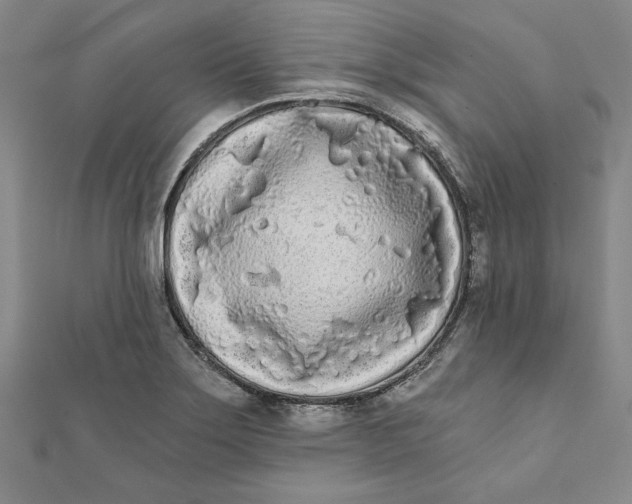 X0000111671275200908141421