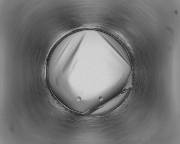 X0000111671276200908141421