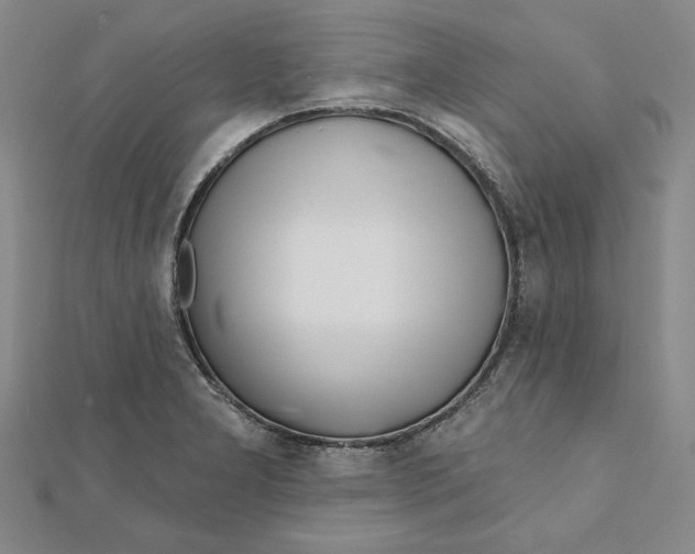 X0000111671277200908141421