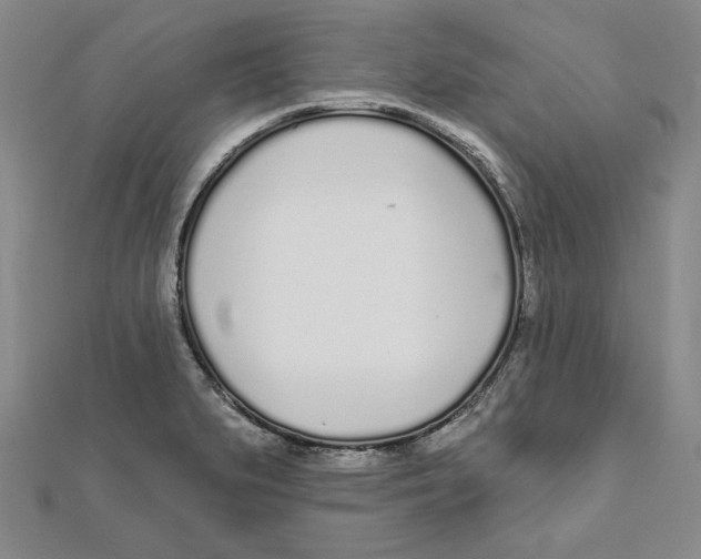 X0000111671279200908141421