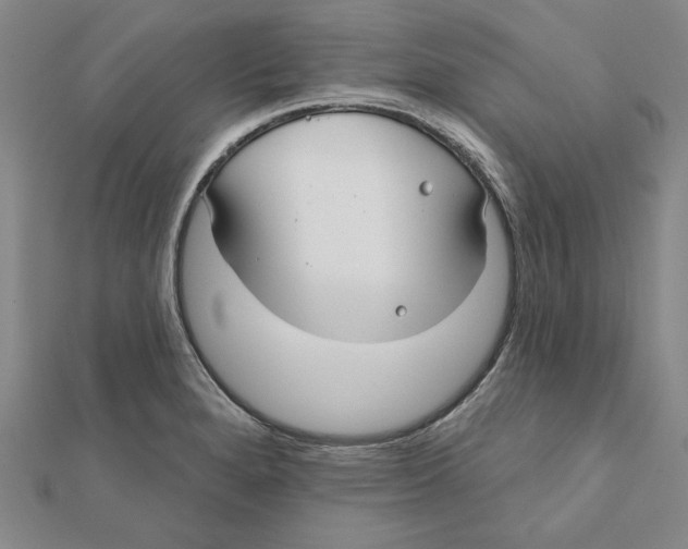 X0000111671280200908141421