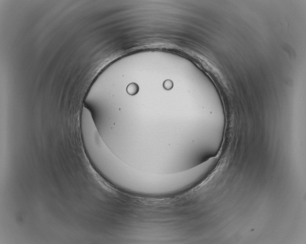 X0000111671281200908141421