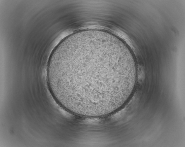 X0000111671282200908141421