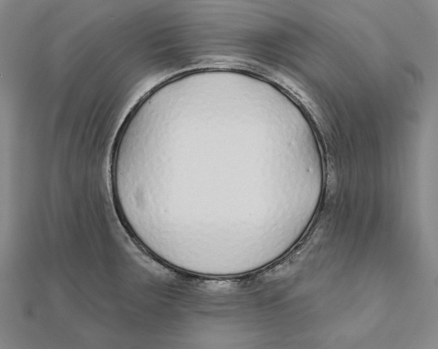 X0000111671283200908141421