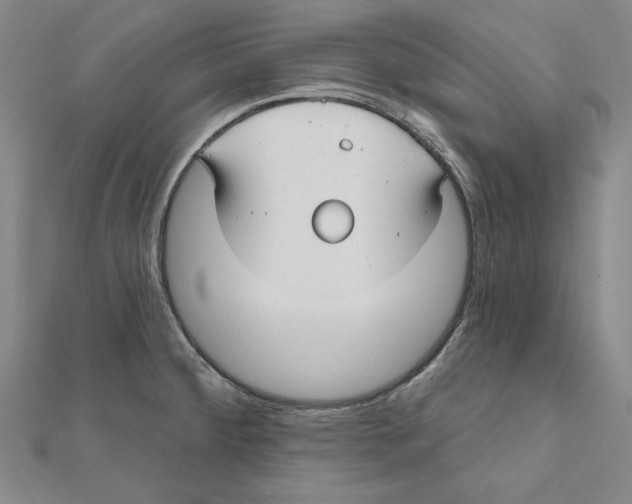 X0000111671284200908141421