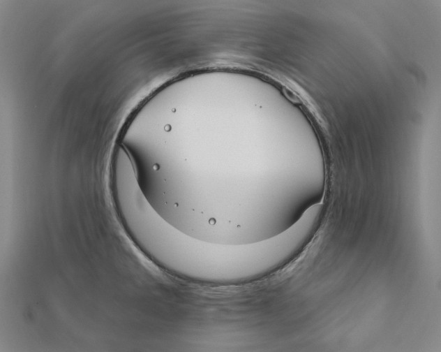 X0000111671285200908141421