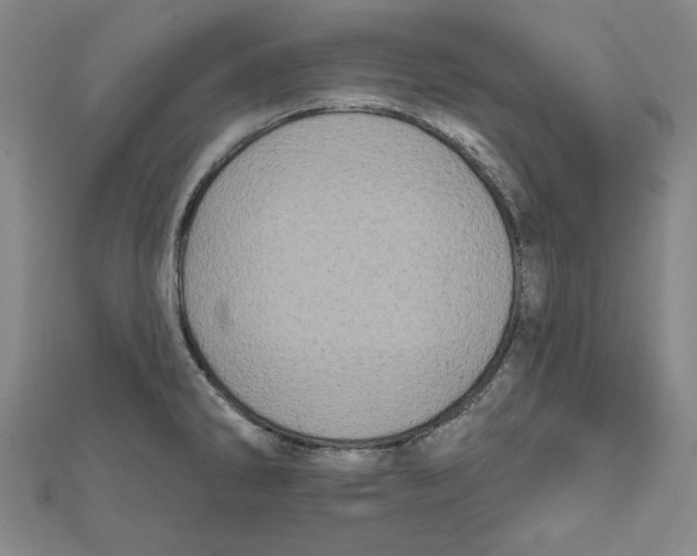 X0000111671286200908141421