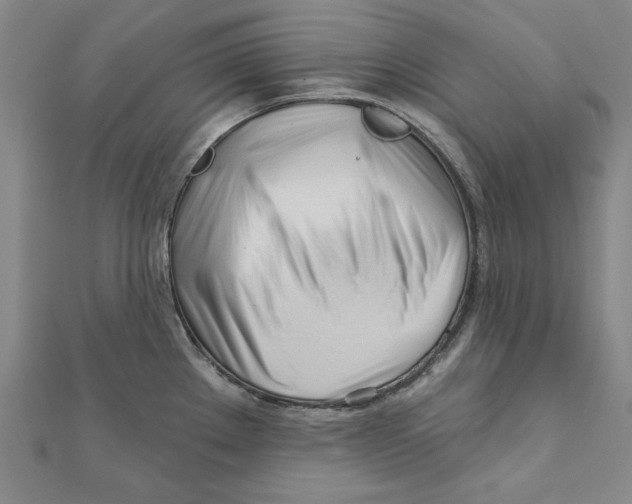 X0000111671289200908141421