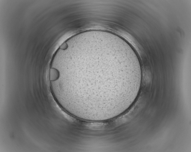 X0000111671290200908141421