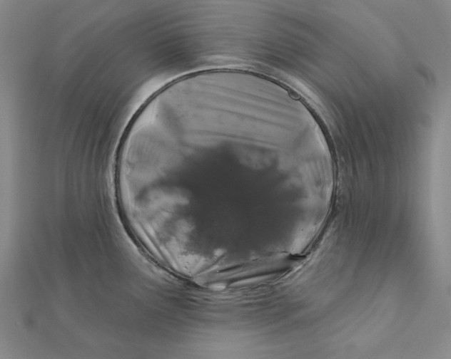 X0000111671291200908141421