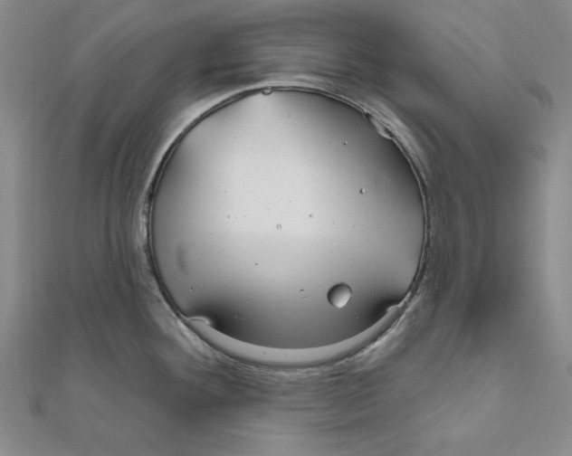 X0000111671292200908141421