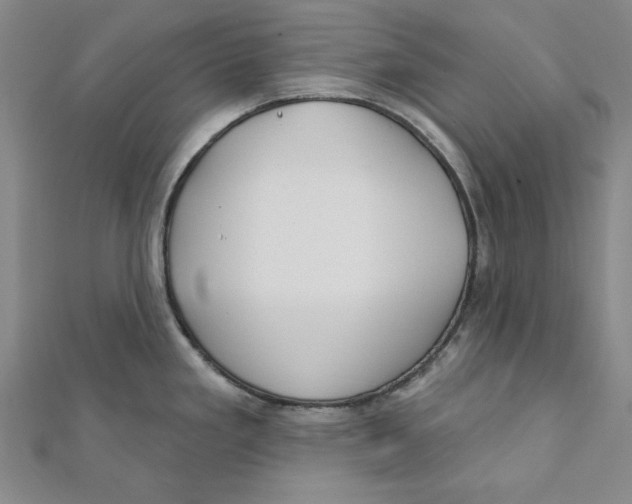 X0000111671293200908141421