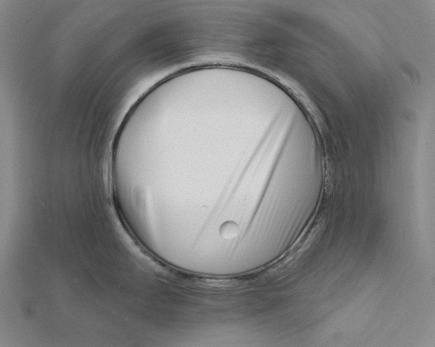 X0000111671295200908141421