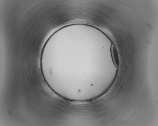 X0000111671296200908141421