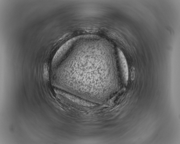 X0000111671298200908141420