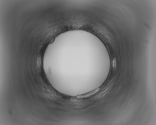 X0000111671299200908141420