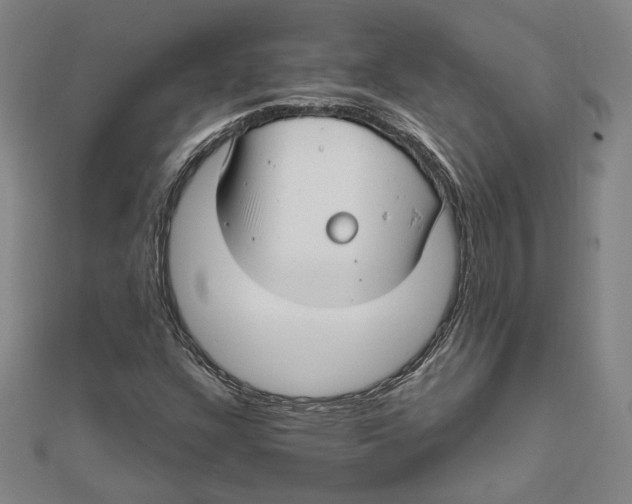 X0000111671304200908141420