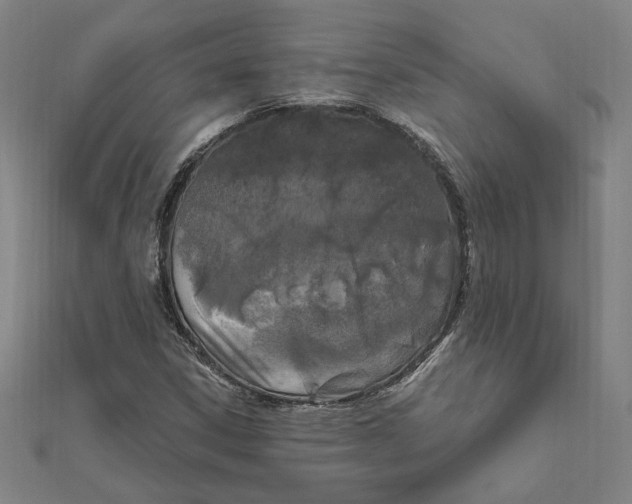 X0000111671306200908141420