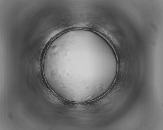 X0000111671308200908141420