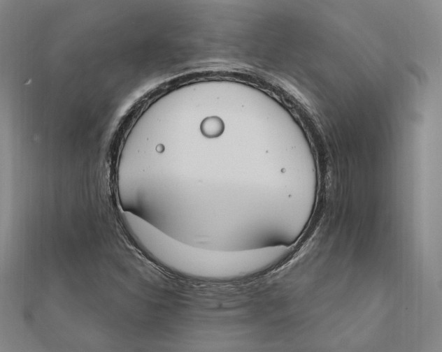 X0000111671310200908141420