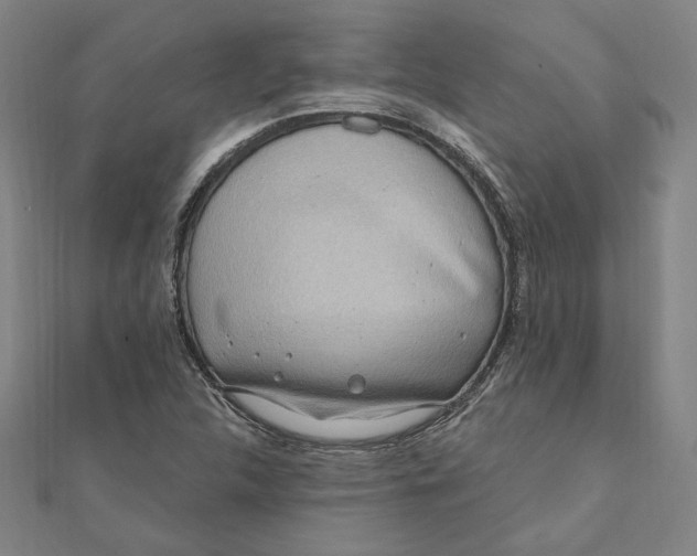 X0000111671312200908141420