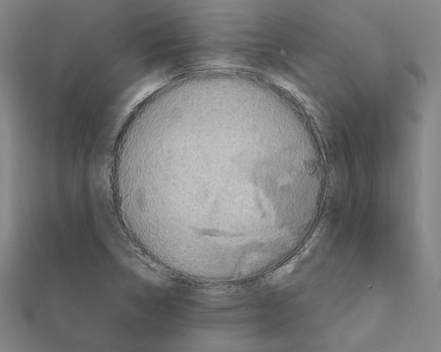 X0000111671314200908141420