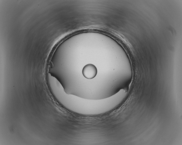 X0000111671316200908141420