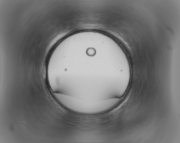 X0000111671317200908141420