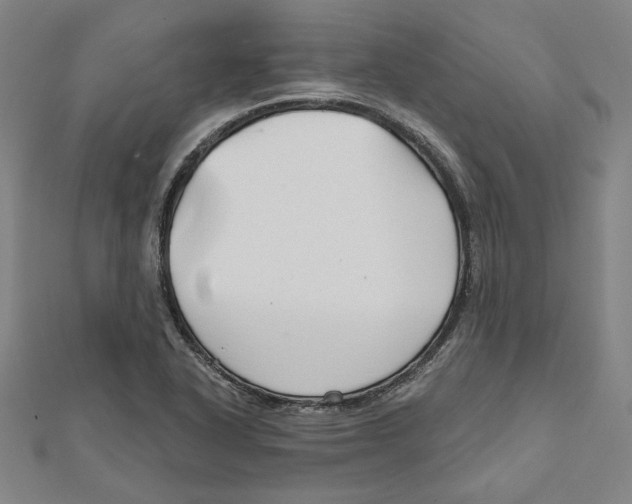 X0000111671318200908141420