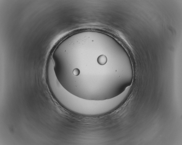 X0000111671320200908141420