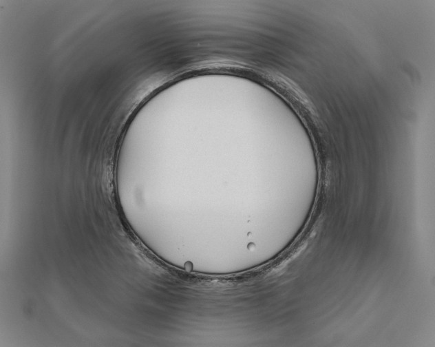 X0000111671321200908141420