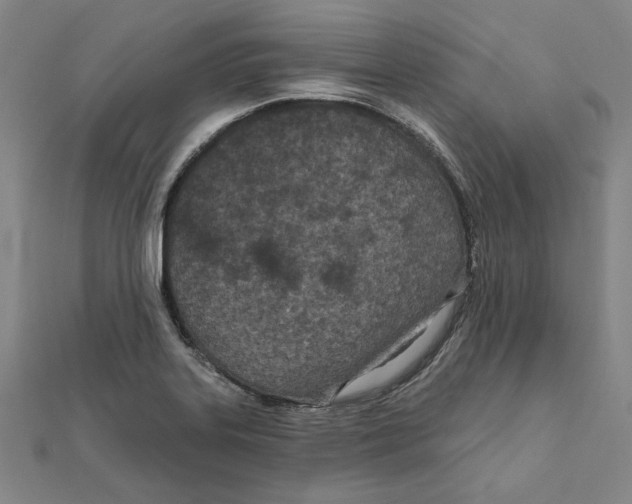 X0000111671323200908141420