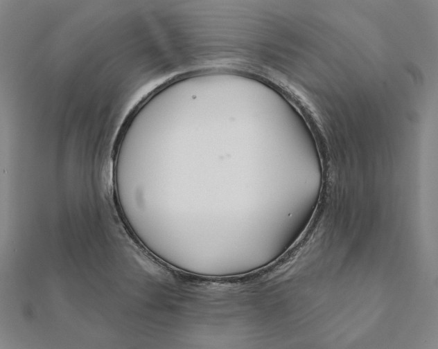 X0000111671324200908141420