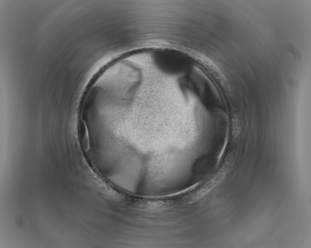 X0000111671326200908141420