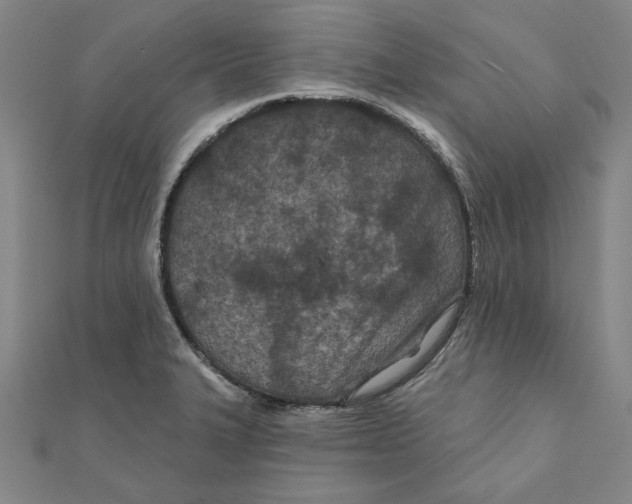 X0000111671327200908141420