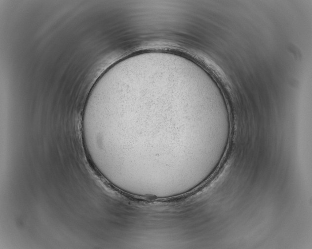 X0000111671329200908141420