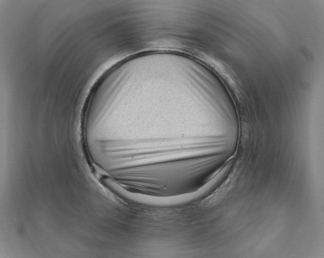 X0000111671331200908141420