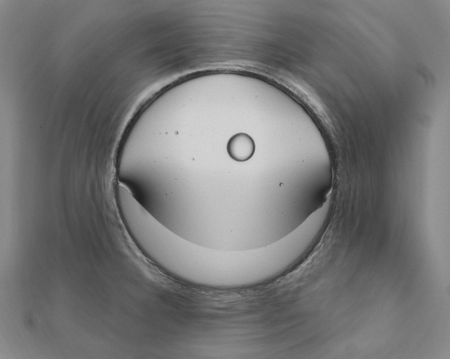 X0000111671332200908141421