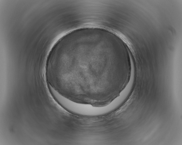 X0000111671334200908141421