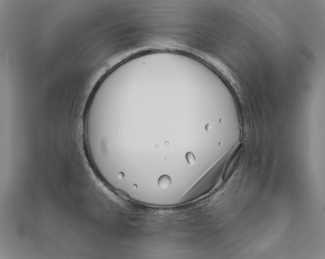 X0000111671335200908141421