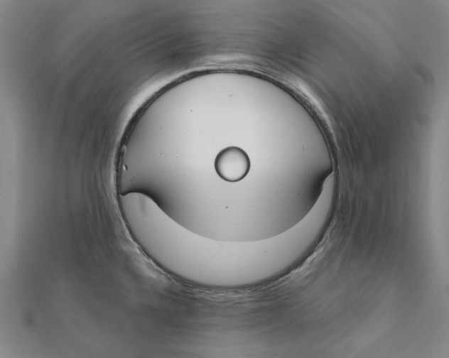 X0000111671336200908141421