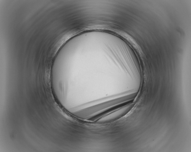 X0000111671337200908141421