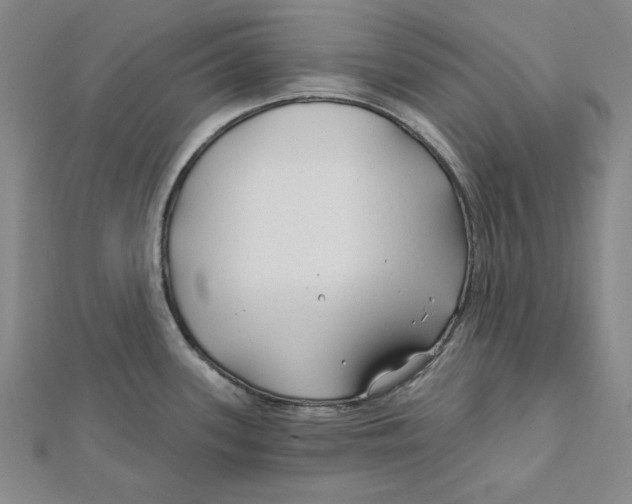 X0000111671339200908141421